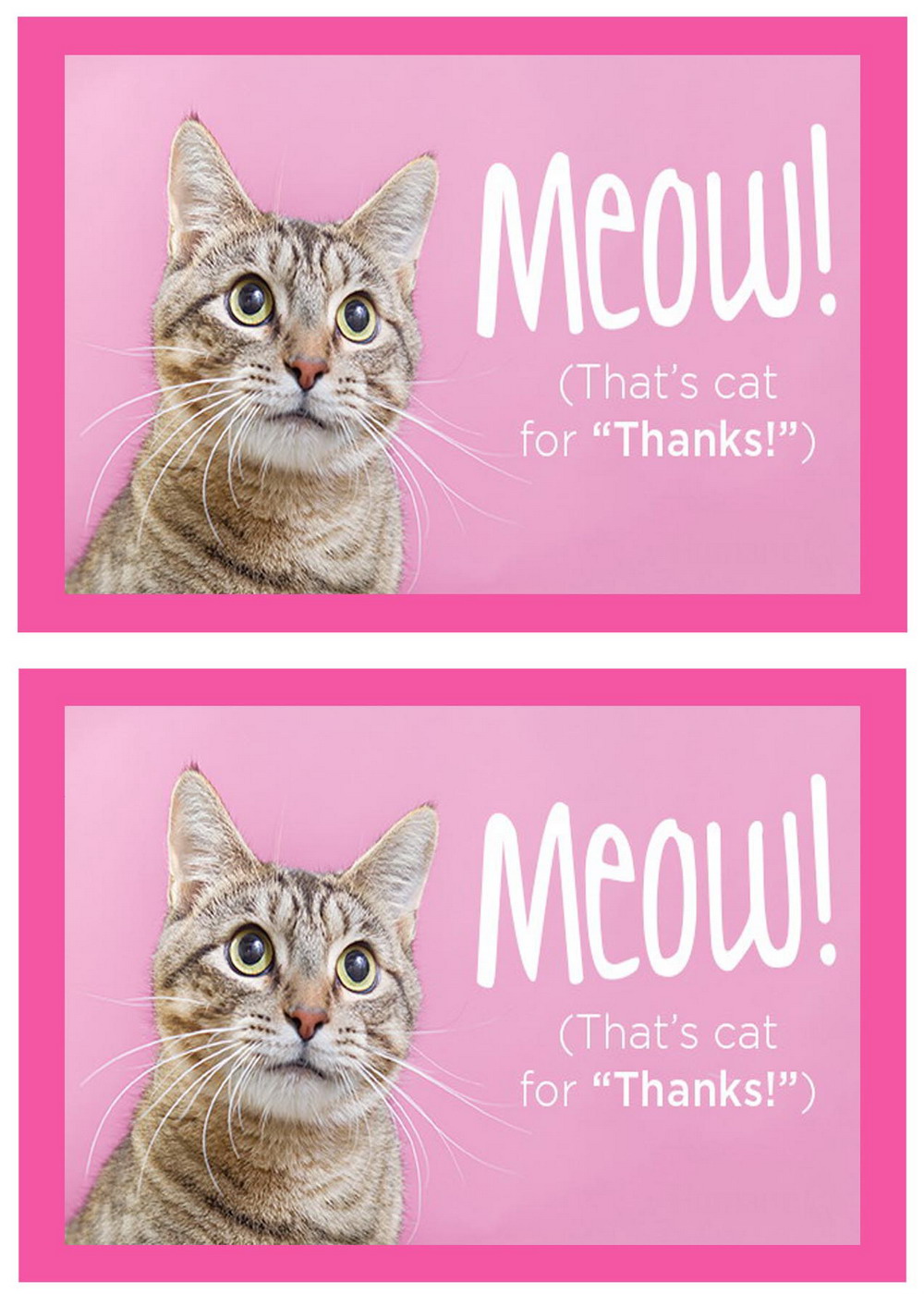 free-printable-cat-thank-you-cards