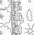 Train Coloring Pages | Birthday Printable