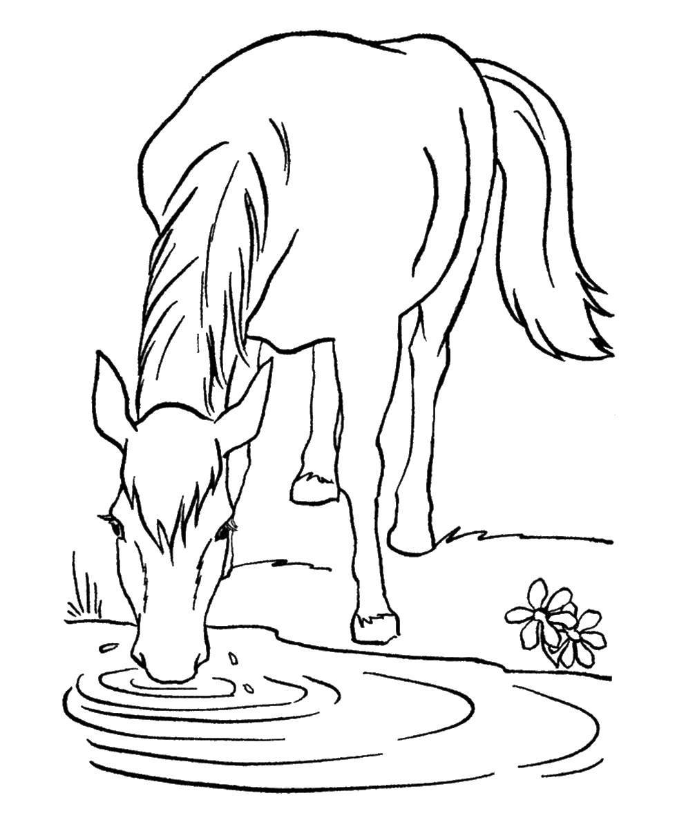 horse coloring pages birthday printable