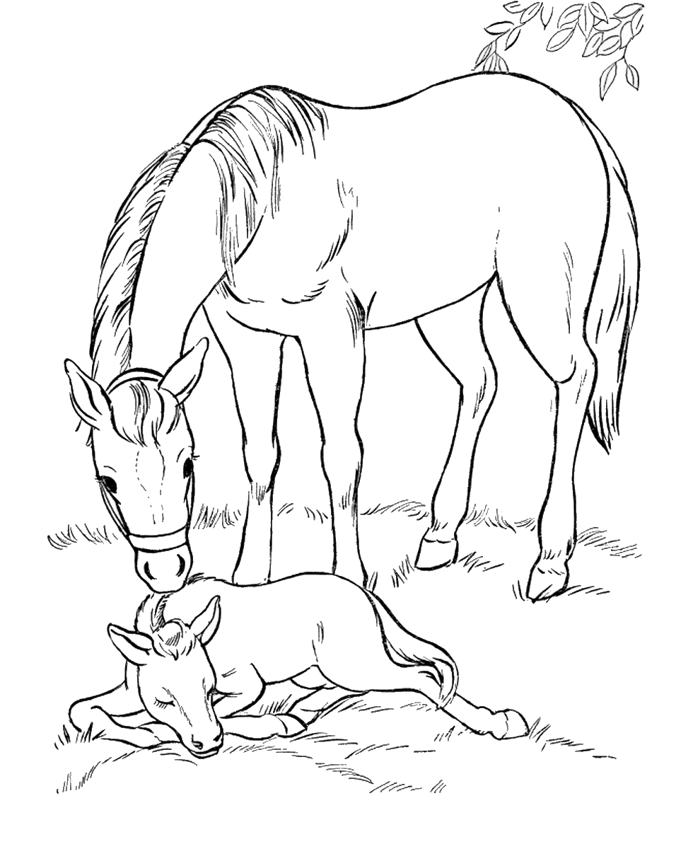 Horse Coloring Pages Birthday Printable
