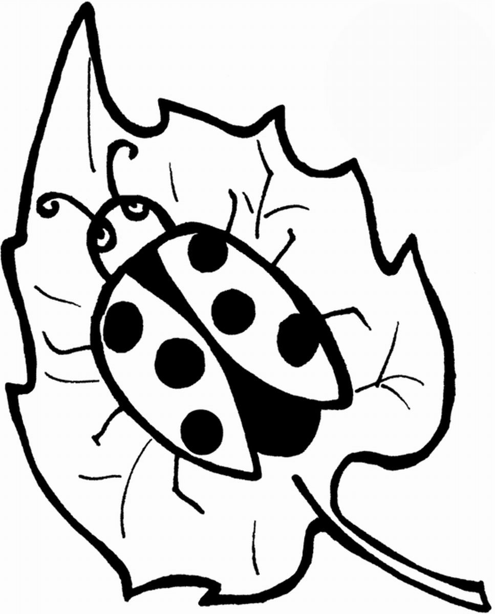 ladybug-coloring-pages-miraculous-ladybug-coloring-pages-klikplayer